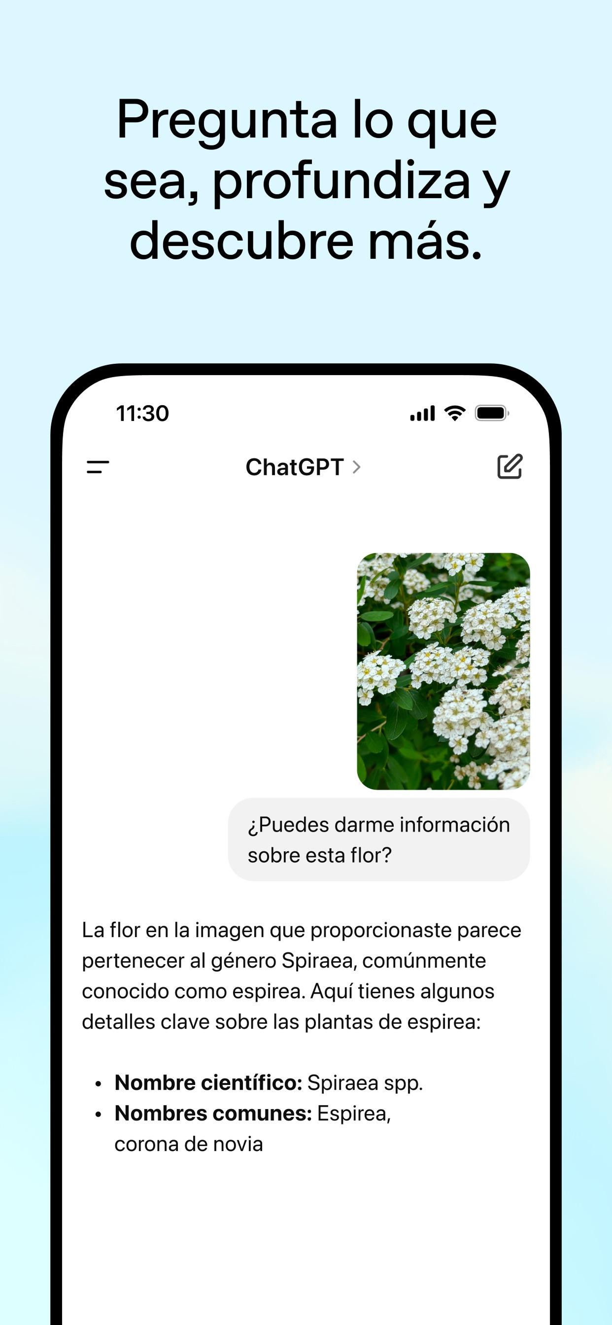 Captura de pantalla de ChatGPT: La Revolución de la Inteligencia Artificial Conversacional en iOS