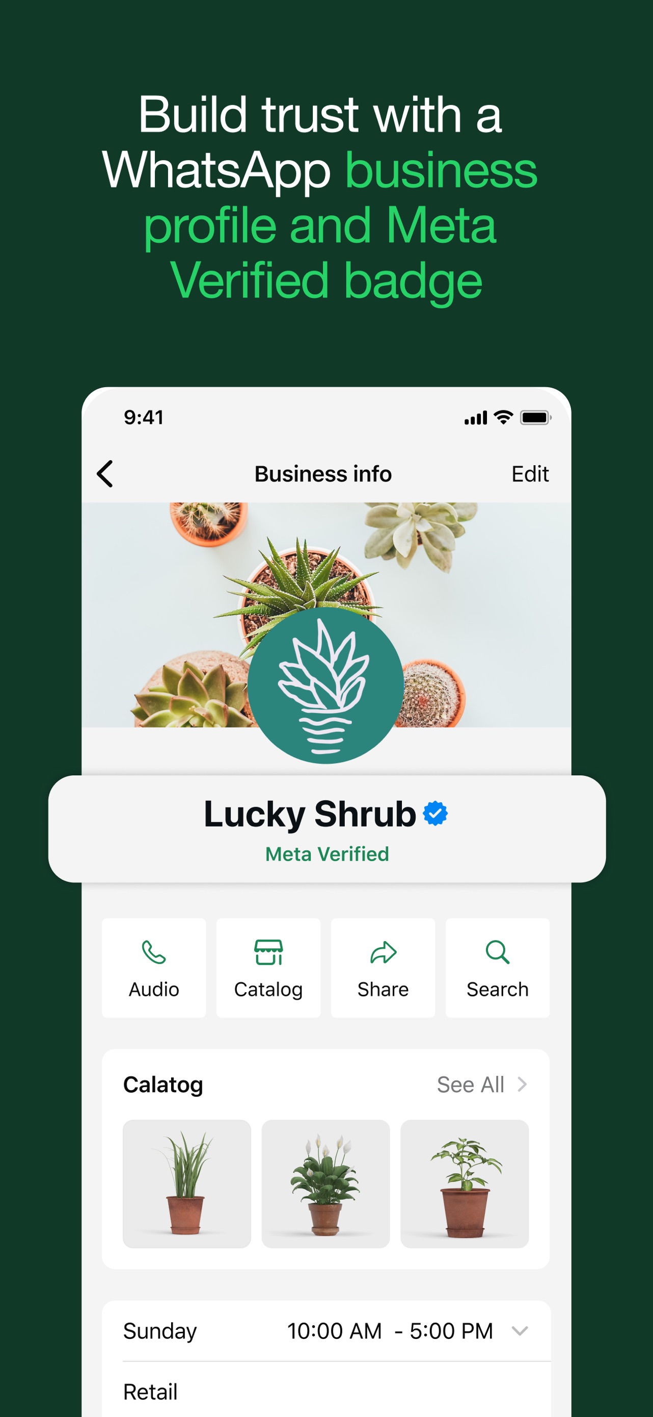 Captura de pantalla de WhatsApp Business: La Transformación Digital del Comercio Conversacional